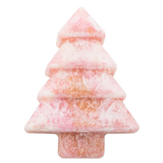 amberblokje dennenboom
