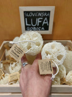 Loofah Sponsen