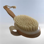 body brush met afneembare steel