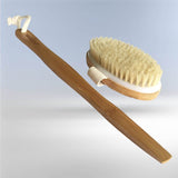 body brush met afneembare steel