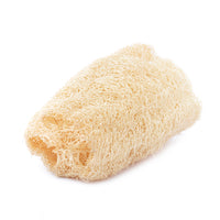 Loofah Sponsen