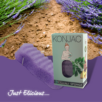 Konjac bad of gezichtsspons